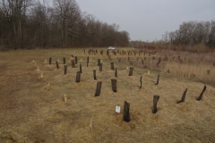 Plantation du vendredi 18 mars 2022. Afforestation pédagogique biodiverse de Saint Julien.
