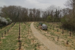 Plantation du 29 mars 2022. Afforestation pédagogique biodiverse d'Arc sur tille.
