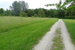 Site de l'afforestation pédagogique biodiverse de Couternon.