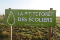 La p'tite forêt des écoliers de Varois et Chaignot