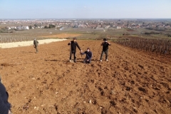 Les explications préalables à la plantation des arbres et des arbustes. 9 mars 2021.