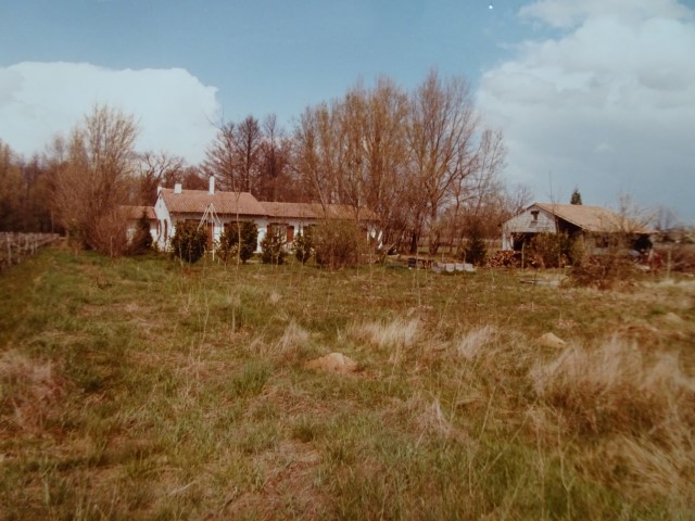 Le domaine de la chênevelle; commune de Lalande de Pomerol. année 1978