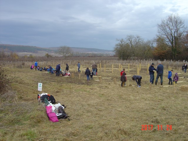 Plantation du vendredi 24 novembre 2017 par les écoliers. Création forestière pédagogique biodiverse de Morey Saint Denis