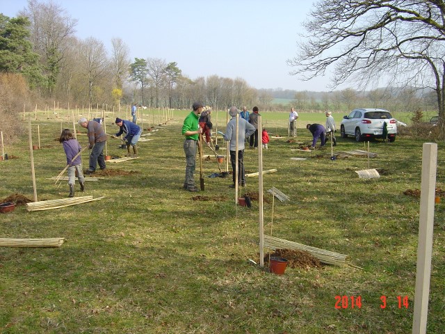 Les groupes d'écoliers se répartissent sur le terrain pour planter les 2 nouveaux bosquets biodivers. Création forestière pédagogique biodiverse de Saint Germain le Rocheux. 14 mars 2014.
