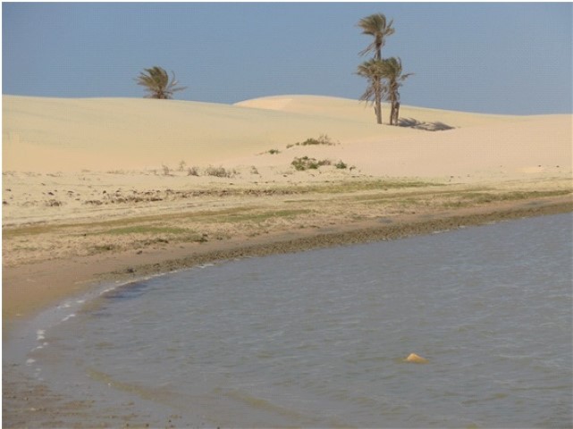 Zone d'hivernage mauritanien de la cigogne nicheuse en Côte d'Or 