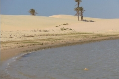 Zone d'hivernage mauritanien de la cigogne nicheuse en Côte d'Or 