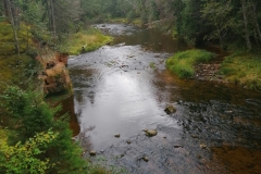 Rivière fréquentée par la Cigogne noire dans la réserve