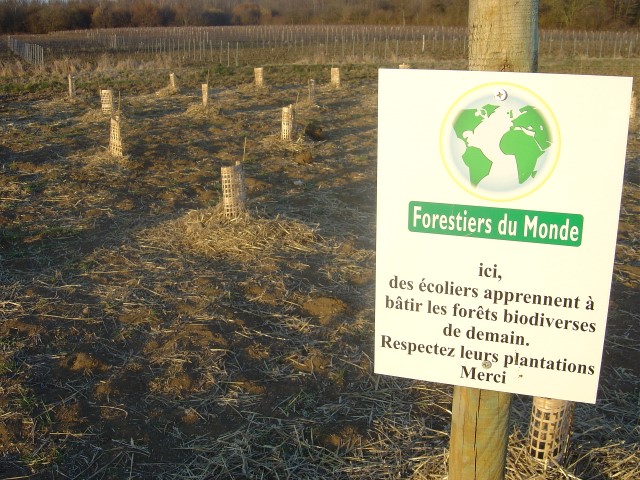 La création forestière pédagogique biodiverse de Morey Saint Denis