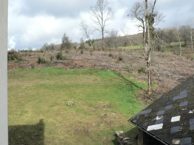 Terrain de la future reforestation pédagogique biodiverse vu de la cour de l'école d'Arleuf en 2006 après exploitation des épicéas.