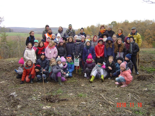 Les écoliers de l'Etang Vergy. Reforestation pédagogique biodiverse de Reulle Vergy. 19 novembre 2018.
