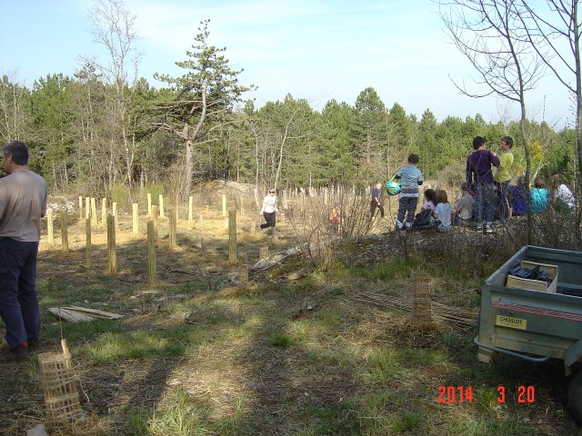 Reforestation pédagogique biodiverse de Savigny-les-Beaune. Quatrième bosquet biodivers. 20 mars 2014