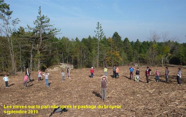 La parcelle de la future forêt biodiverse de Savigny-les-Beaune en septembre 2010.