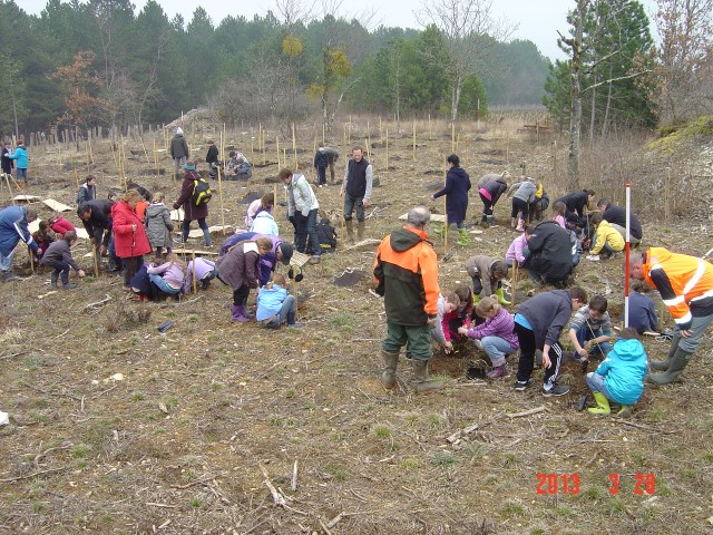 Les écoliers investissent le terrain et plantent le troisième bosquet biodivers. Savigny-les-Beaune. 28 mars 2013.