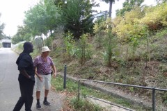 DSC00655-Petit