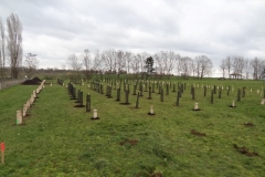 Plantation citoyenne. Samedi 28 janvier 2023.