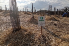 Afforestation pédagogique biodverse de Cour l'Evéque. Jeudi 3 mars 2022.