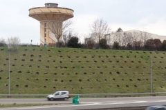 Afforestation du délaissé routier, domaine privé de l'Etat.