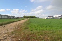 Terrain de l'afforestation pédagogique biodiverse de Chevigny Saint Sauveur au 17 mai 2021