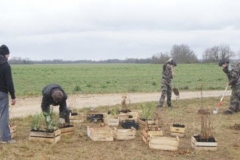 une-vingtaine-d-essences-seront-plantees-photo-lbp-philippe-pinget-1638609482-Small