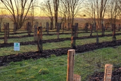 Afforestation pédagogique biodiverse de Quétigny.