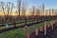 Afforestation pédagogique biodiverse de Quétigny.