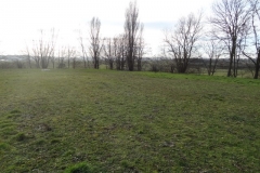 Terrain pour l'afforestation pédagogique biodiverse de Quétigny