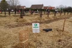 Plantation du premier bosquet. Afforestation pédagogique biodiverse de Darois.