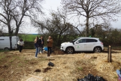 Plantation du premier bosquet. Afforestation pédagogique biodiverse de Darois.