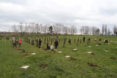 Afforestation citoyenne de Quétigny. Samedi 28 février 2023.