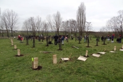 Plantation de Quétigny vendredi 27 janvier 2023.