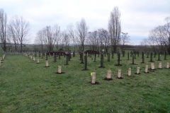 Troisième bosquet biodivers. Vendredi 27 janvier 2023.