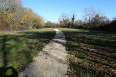 Site de l'afforestation pédagogique biodiverse d'Arc sur tille. Année scolaire 2021-2022.