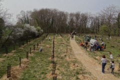 Afforestation pédagogique biodiverse d'Arc sur tille. Année scolaire 2021-2022.