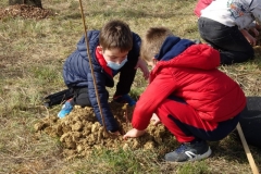 Plantation sur le site de la création forestière pédagogique biodiverse de Varois et Chaignot.