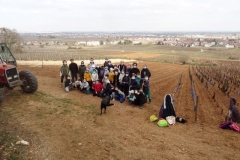 Les écoliers de la classe de Madame DELORME; Ecole Paul COLNET de Marsannay la Côte. Année scolaire 2020-2021.