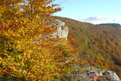 baulme-la-roche-01-11-2010-003-Small