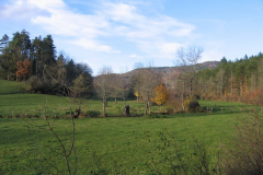 vallon_Douix_2004