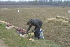 Plantation-Morey-St-Denis-10-mars-2011-001