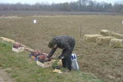 Plantation-Morey-St-Denis-10-mars-2011-002