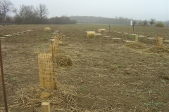 Signalétique-Morey-St-Denis-14-mars-2011-002