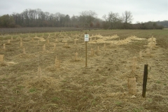 Signalétique-Morey-St-Denis-14-mars-2011-011