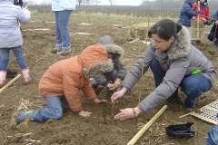 cfpb-Morey-St-Denis-14-mars-2011-004