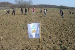 pose-des-jalons-Morey-St-Denis-8-mars-2011-004
