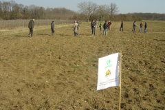 pose-des-jalons-Morey-St-Denis-8-mars-2011-006