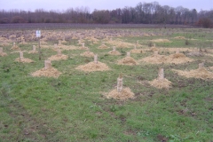 19-20-janvier-2012-007