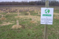 La création foresrière pédagogique biodiverse de Morey Saint Denis. Janvier 2012.