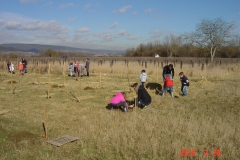 cfpb-Morey-Saint-Denis-02-2014-008