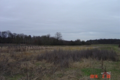 cfpb-Morey-Saint-Denis-02-2014-017