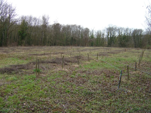 cfpb Premeaux-prissey mars 2008 chemins intallés (Small)