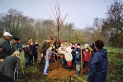 cfpb-Premeaux-Prissey.-Plantation-tilleul-central-18-novembre-2006